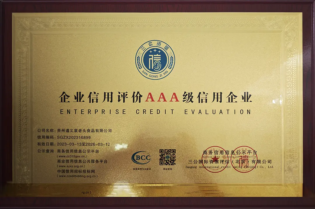 AAA-rated enterprise in corporate credit evaluation