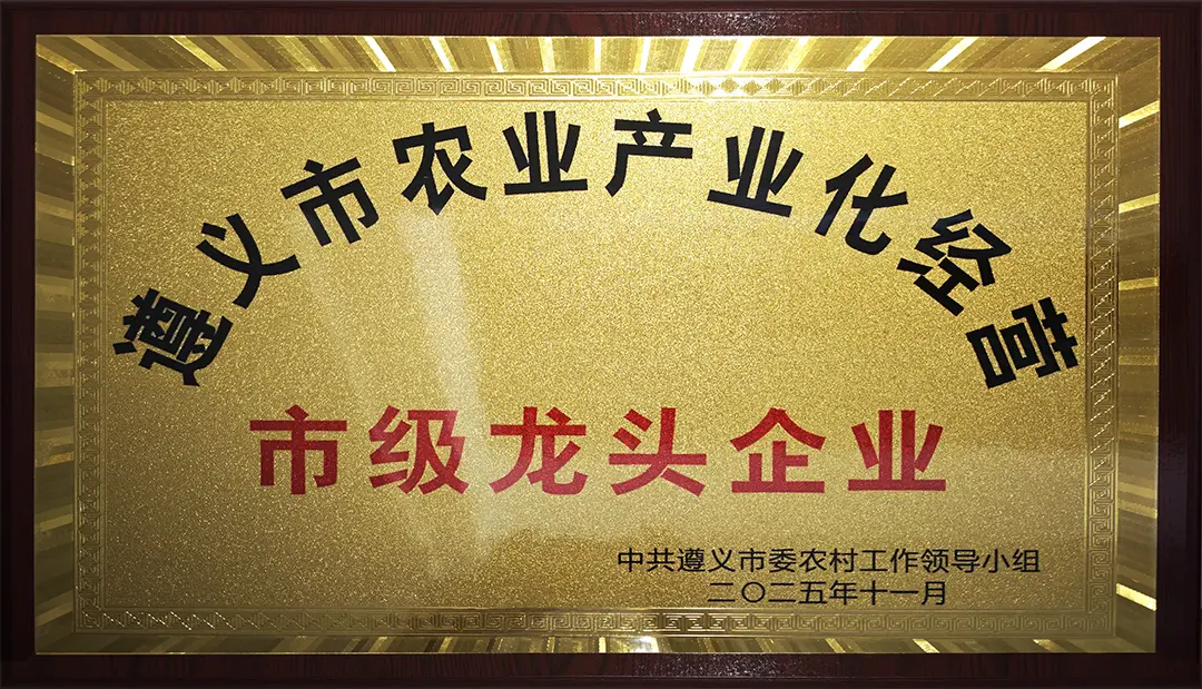 Municipal leading enterprise